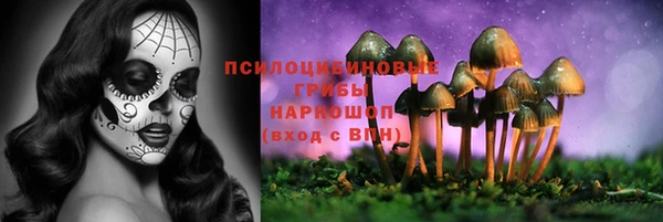 PSILOCYBIN Михайловск