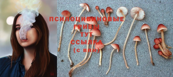 прущие крисы Михайловка