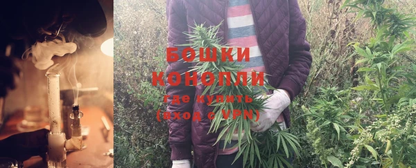 PSILOCYBIN Михайловск