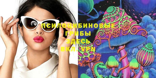 PSILOCYBIN Михайловск