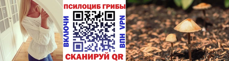 Псилоцибиновые грибы GOLDEN TEACHER  Купить где  Ярославль 